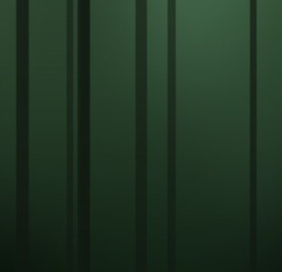 Forêt au vent