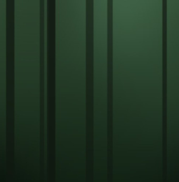 Forêt au vent